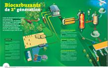 Affiche infographie CEA Biocarburants