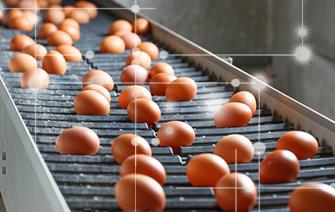 Blockchain enables real-time audits for food manufacturing