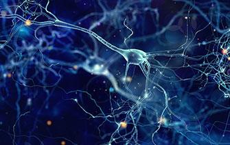 Les réseaux de neurones bientôt capables d’apprentissage incrémental
