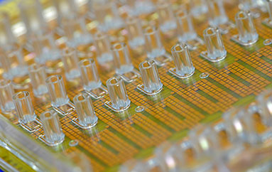 Nano-biotechnology platform 