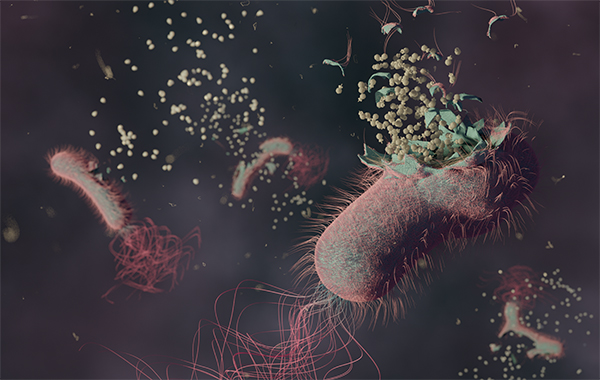 French & Swiss Scientists Demonstrate ‘All-in-One’ Technique that Could Accelerate Phage-Therapy Diagnosis