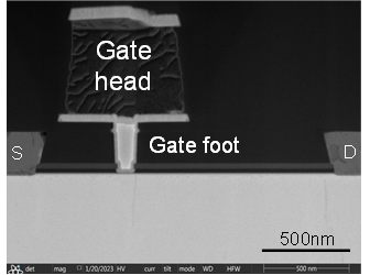 Figure 1.png